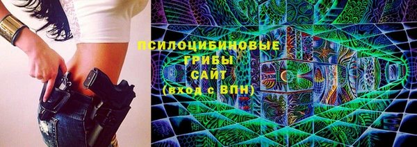 крисы Арсеньев
